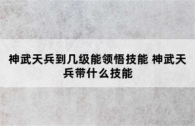 神武天兵到几级能领悟技能 神武天兵带什么技能